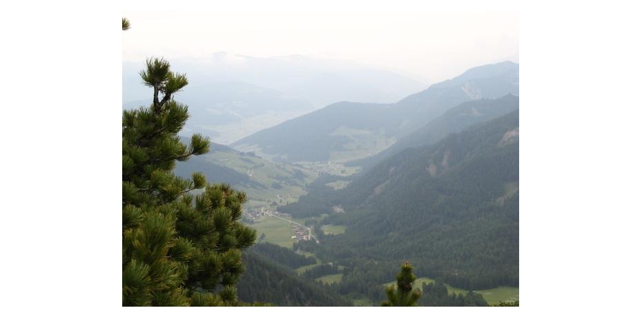 schwarzberg-ausblick